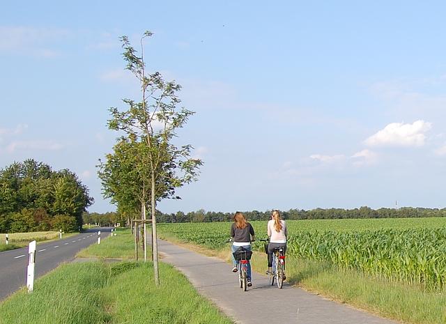 zwei Frauen auf Fahrrädern radeln eine Landstraße entlang.