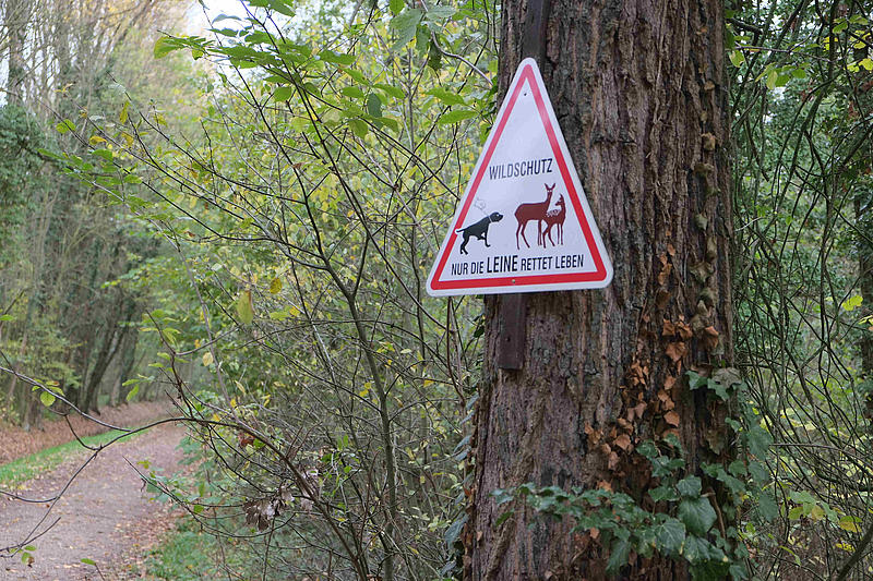Hinweisschild auf Leinenpflicht im Wald
