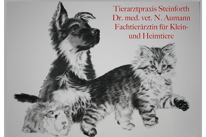 Tierarztpraxis Steinforth